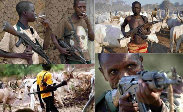 Armed Fulani herdsmen